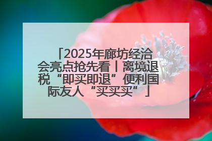 2025年廊坊经洽会亮点抢先看丨离境退税“即买即退”便利国际友人“买买买”