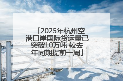 2025年杭州空港口岸国际货运量已突破10万吨 较去年同期提前一周