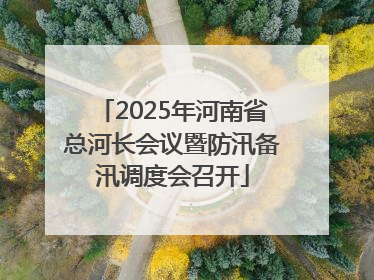 2025年河南省总河长会议暨防汛备汛调度会召开