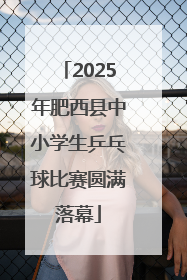 2025年肥西县中小学生乒乓球比赛圆满落幕