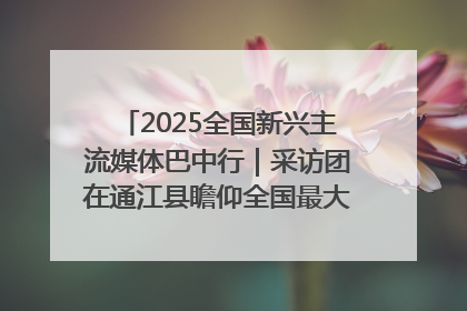2025全国新兴主流媒体巴中行｜采访团在通江县瞻仰全国最大红军烈士陵园
