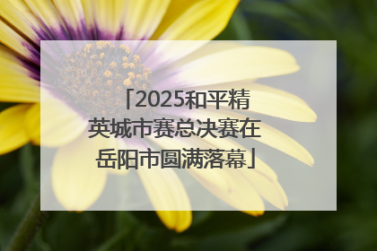 2025和平精英城市赛总决赛在岳阳市圆满落幕