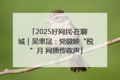 2025好网民·在聊城｜吴聿晟：党徽映“税”月 网播传政声