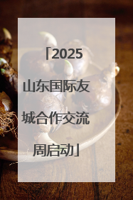 2025山东国际友城合作交流周启动