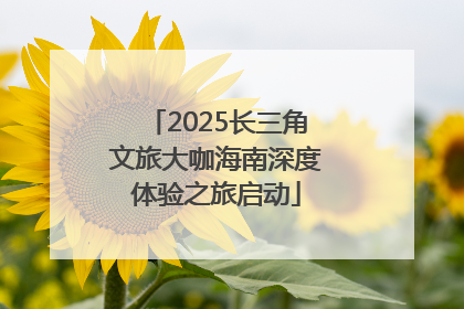 2025长三角文旅大咖海南深度体验之旅启动