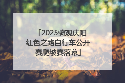 2025骑观庆阳红色之路自行车公开赛爬坡赛落幕