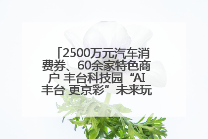 2500万元汽车消费券、60余家特色商户 丰台科技园“AI丰台 更京彩”未来玩家市集活动正式开幕