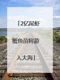 2亿尾虾蟹鱼苗将游入大海