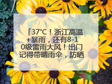 37℃！浙江高温+暴雨，还有8-10级雷雨大风！出门记得带晴雨伞，防晒防雨两手抓！