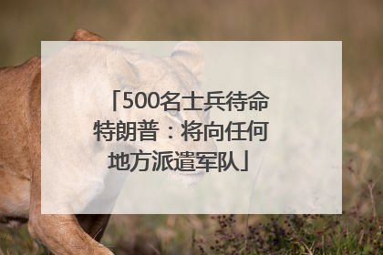 500名士兵待命 特朗普：将向任何地方派遣军队