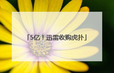 5亿！迅雷收购虎扑