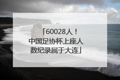 60028人！中国足协杯上座人数纪录属于大连