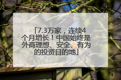 7.3万家，连续4个月增长！中国始终是外商理想、安全、有为的投资目的地