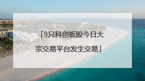 9只科创板股今日大宗交易平台发生交易