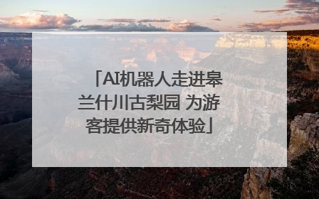 AI机器人走进皋兰什川古梨园 为游客提供新奇体验