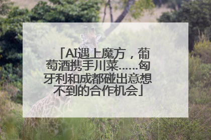 AI遇上魔方，葡萄酒携手川菜……匈牙利和成都碰出意想不到的合作机会