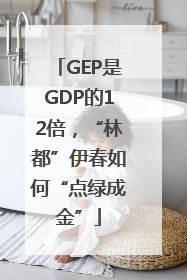 GEP是GDP的12倍，“林都”伊春如何“点绿成金”
