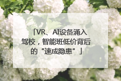 VR、AI设备涌入驾校，智能班低价背后的“速成隐患”